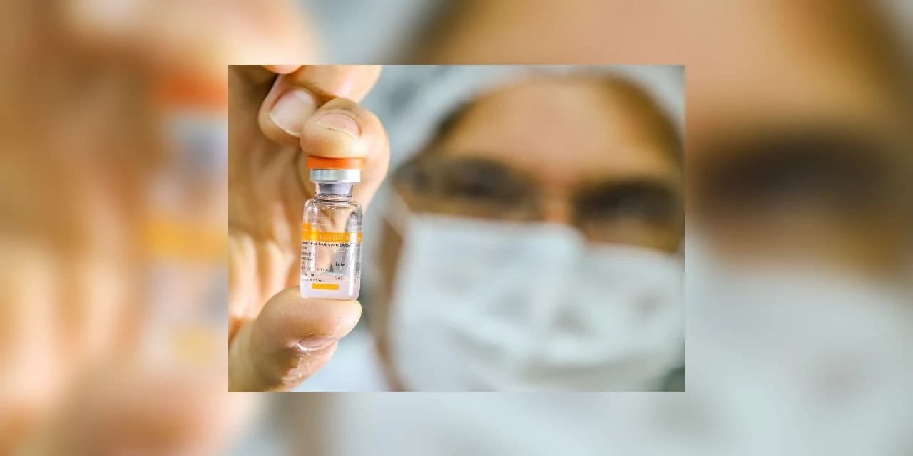 Covid: 97% dos municípios do Paraná comprovam ter adotado plano de vacinação