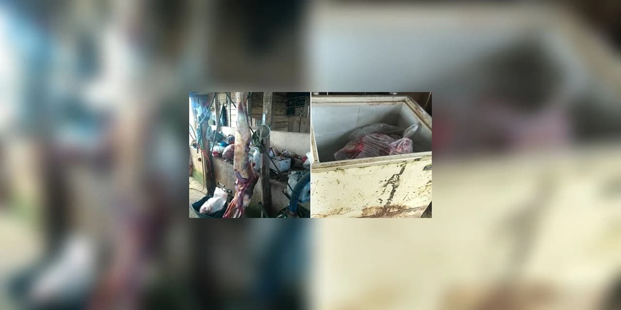 Policiais militares encontram abatedouro clandestino de cavalos