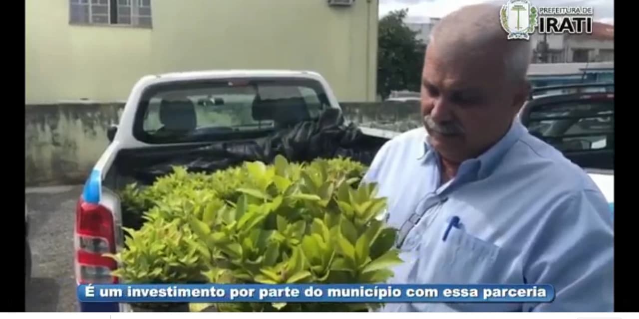 Em Irati prefeitura entrega mudas de erva-mate aos produtores