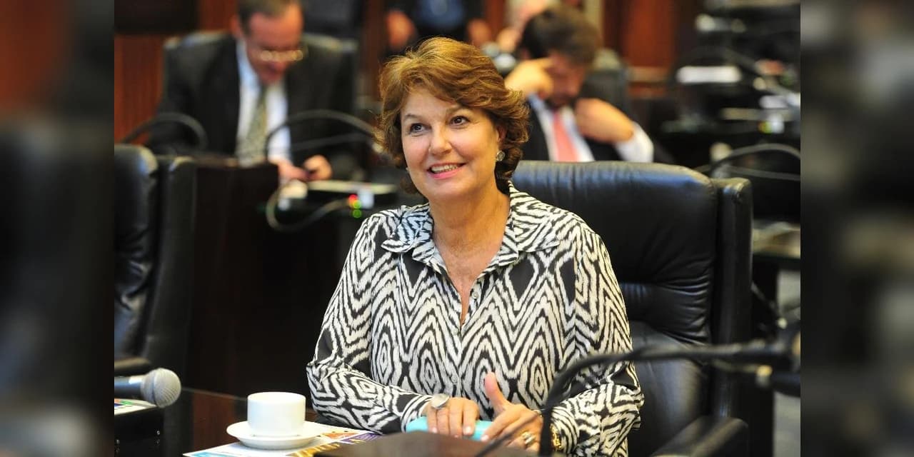 PL de Cristina Silvestri que implanta Sinal Vermelho no Paraná é aprovado