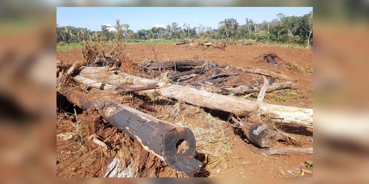 Polícia Ambiental e IAT localizam 406 hectares desmatados no Centro-Sul e aplicam R$ 4,2 milhões em multas