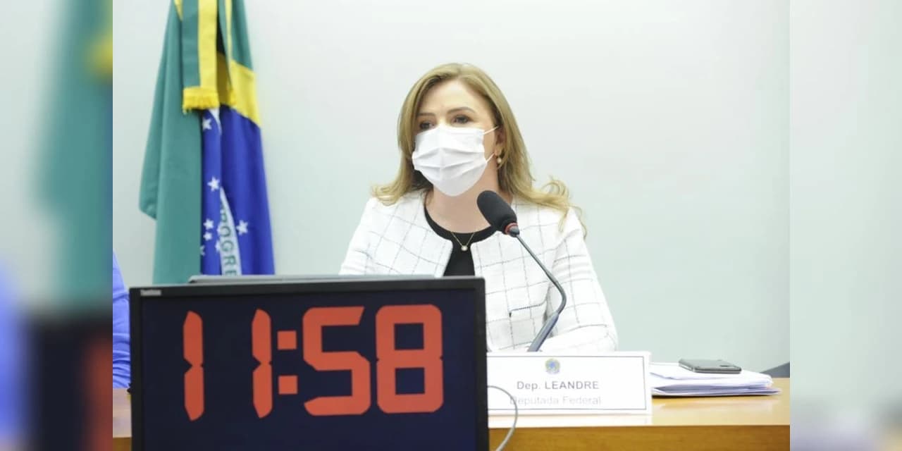 Leandre propõe debate sobre diretrizes para composição dos conselhos de idosos