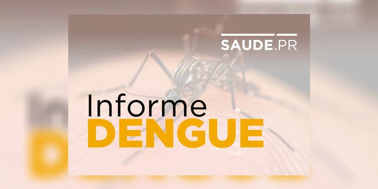 Mutirão da Dengue vai ser realizado em Prudentópolis nos dias 8 e 9 de outubro