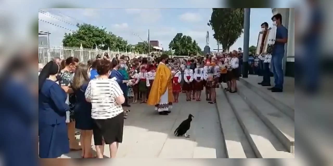 Urubu assiste à missa junto a fiéis em Prudentópolis