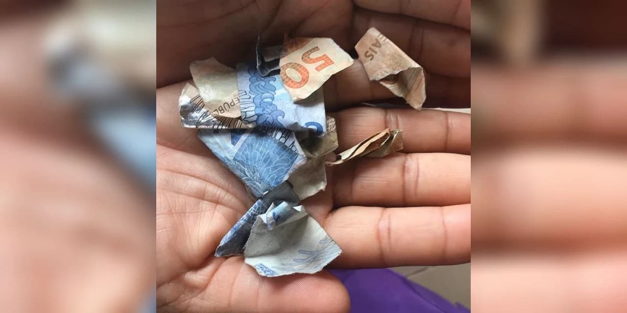 Mulher rasga R$ 600,00 reais após roubar de casal de idoso em Prudentópolis