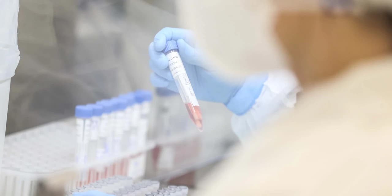 Paraná registra 262 casos de Influenza H3N2; transmissão da doença é considerada comunitária