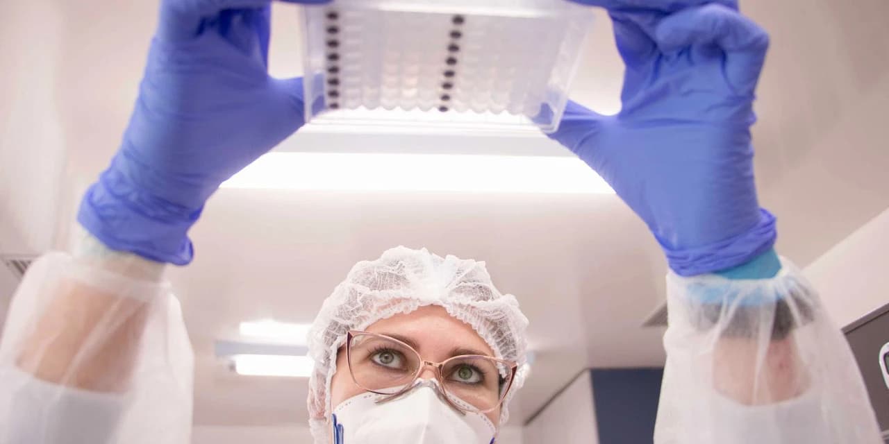 Laboratório da UEPG encontra variante Ômicron em Ponta Grossa