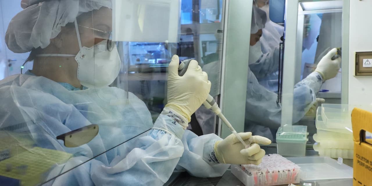 Predominância da Ômicron passa de 85% no Paraná, aponta Fiocruz