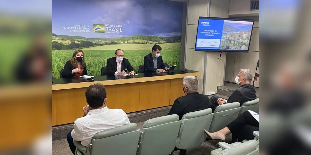 Leandre e Amcespar lutam para transformar concessão da Flona em desenvolvimento regional sustentável