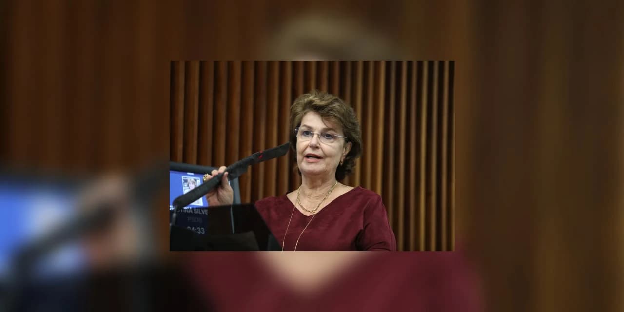 Deputada Cristina Silvestri cobra recuperação da pr-170 entre Guarapuava, Pinhão, Reserva do Iguaçu e Bituruna