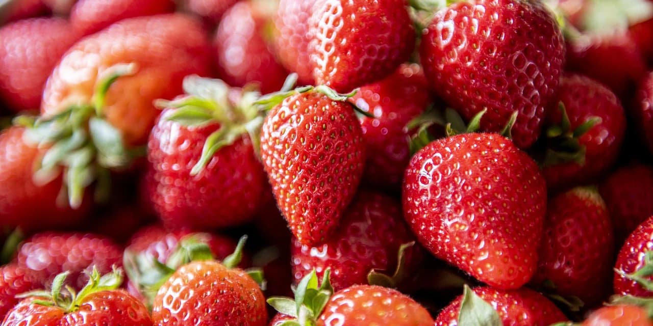 Guamiranga vai realizar curso de morango semi-hidropônico para agricultores