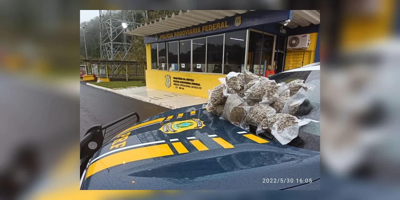 Menina que levava drogas para o RJ é apreendida pela PRF em Irati