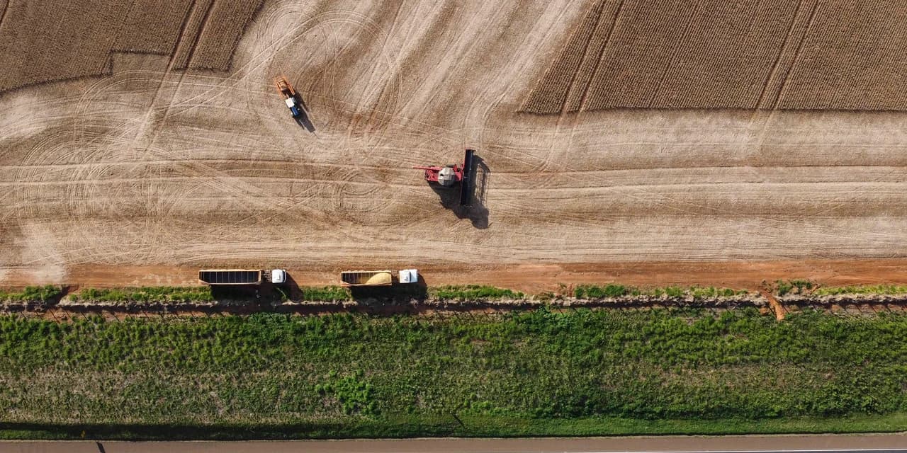Paraná ultrapassa Rio Grande do Sul e vira quarta maior economia do Brasil