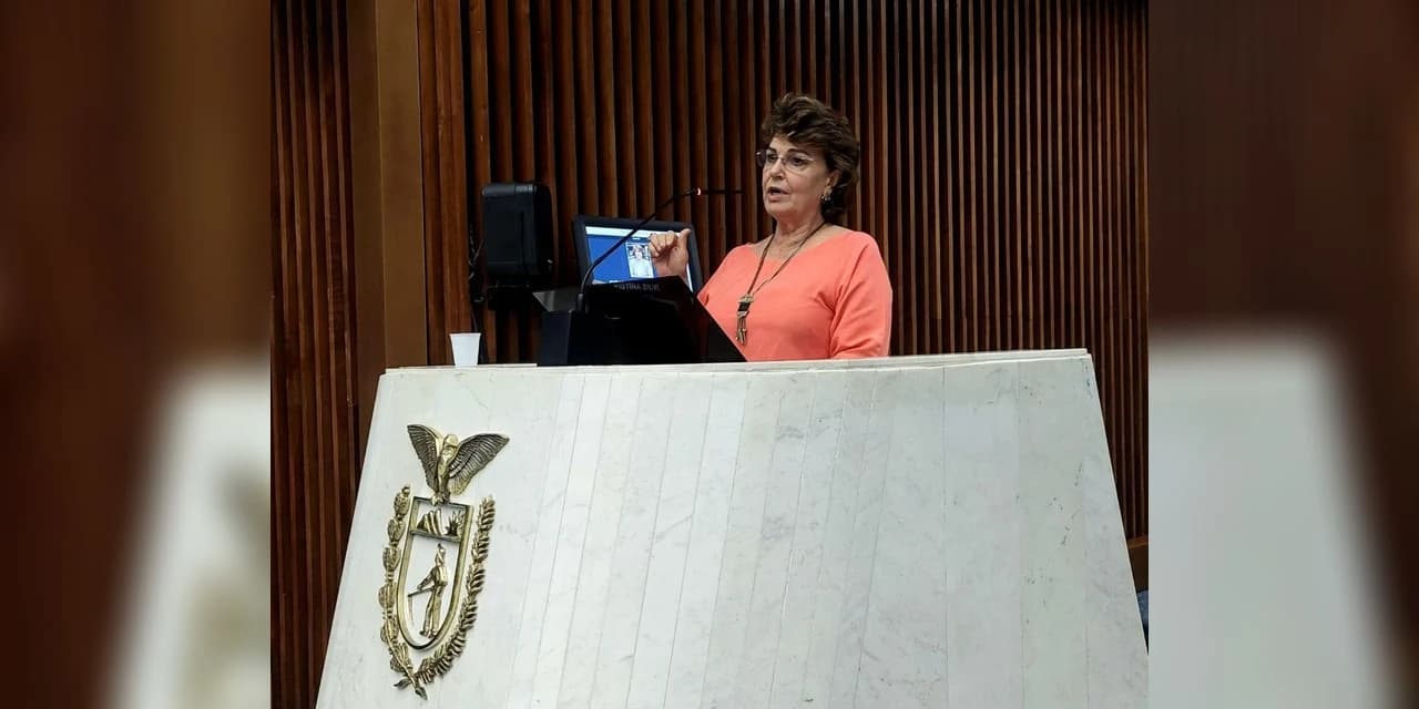 Campanha 21 Dias de Ativismo pelo Fim da Violência contra as Mulheres terá ações de alcance municipal, estadual e federal