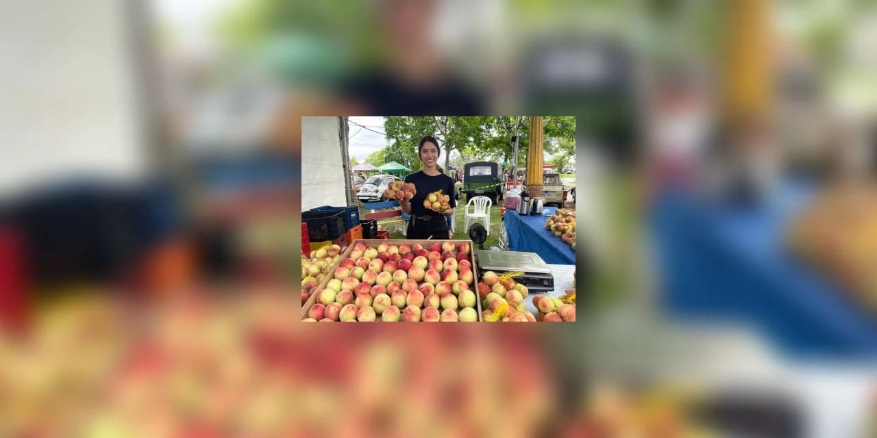 Festa do pêssego em Irati supera as expectativas e venda de frutas chega a 15 toneladas
