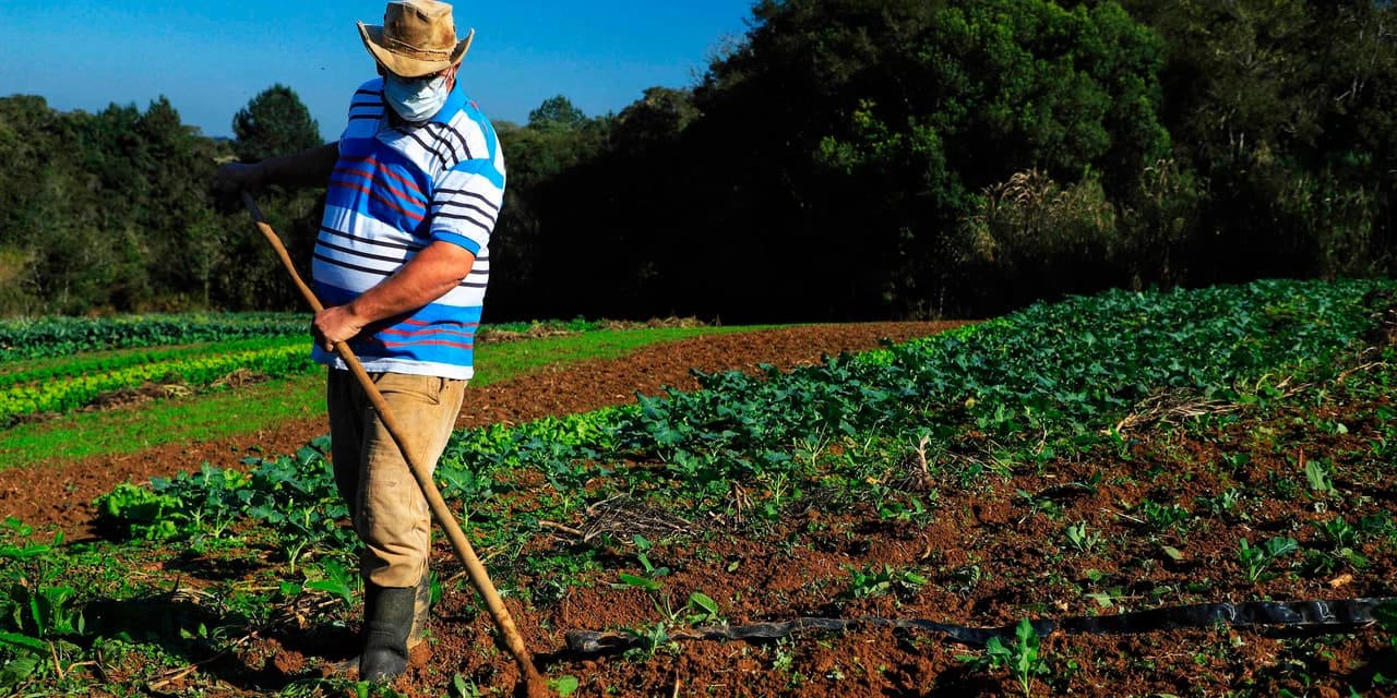 Reativado, programa de crédito fundiário viabiliza compra de terras no Paraná