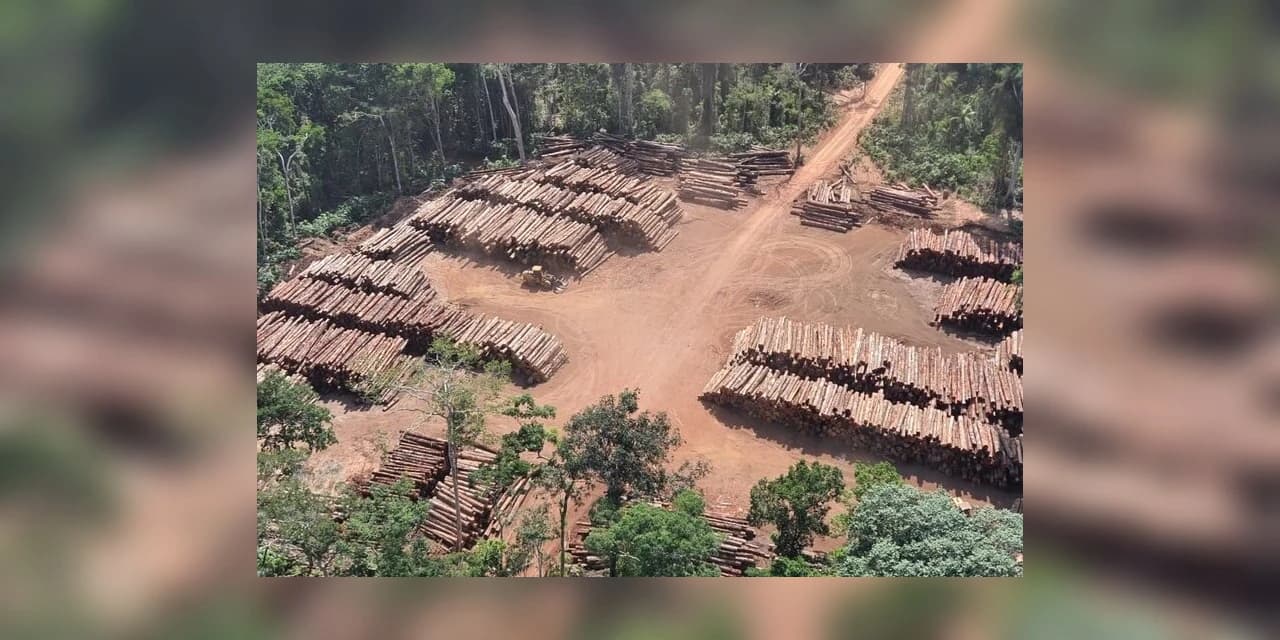 Revogado ato que liberava exploração de madeira em terras indígenas