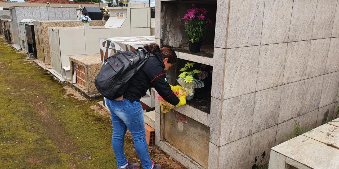 Saúde de Tibagi realiza busca ativa de escorpiões no cemitério municipal