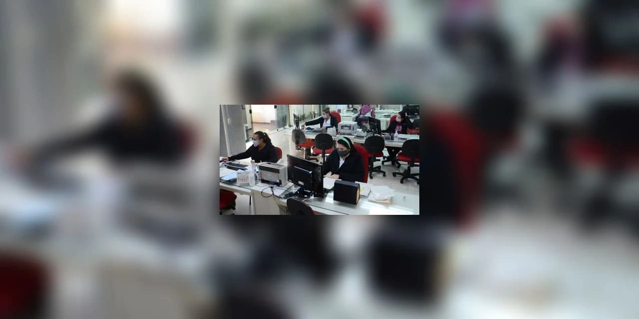 IBGE: desocupação cai para 8,1% no trimestre encerrado em novembro