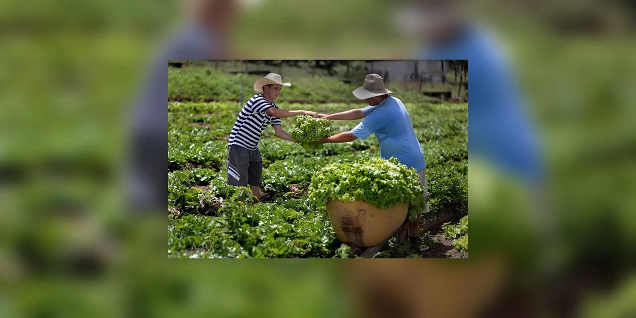 Começa hoje (20) o Fórum Global para Alimentação e Agricultura