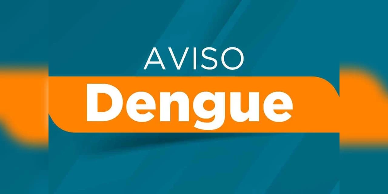 Secretaria da Saúde confirma mais 207 novos casos de dengue no Paraná