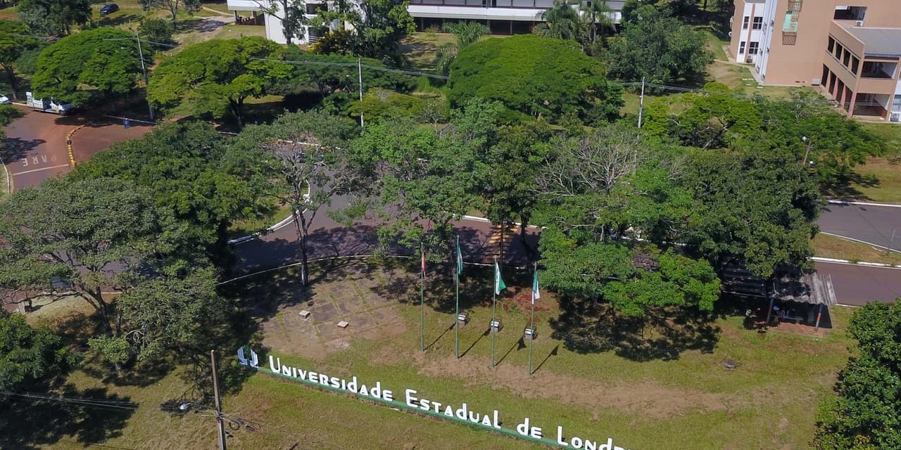 UEL abre 39 vagas de estágio remunerado para estudantes de graduação