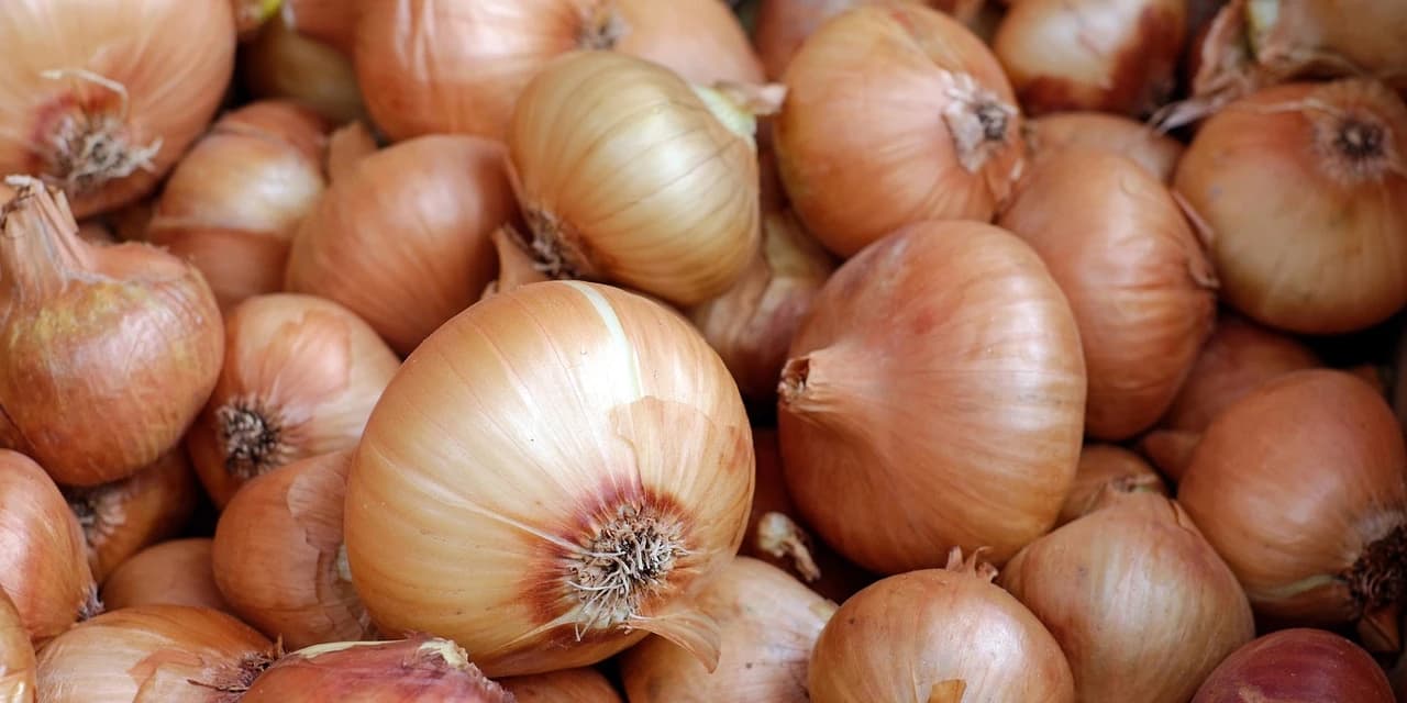 Cebola fica mais barata no atacado após aumento da oferta no Sul do país