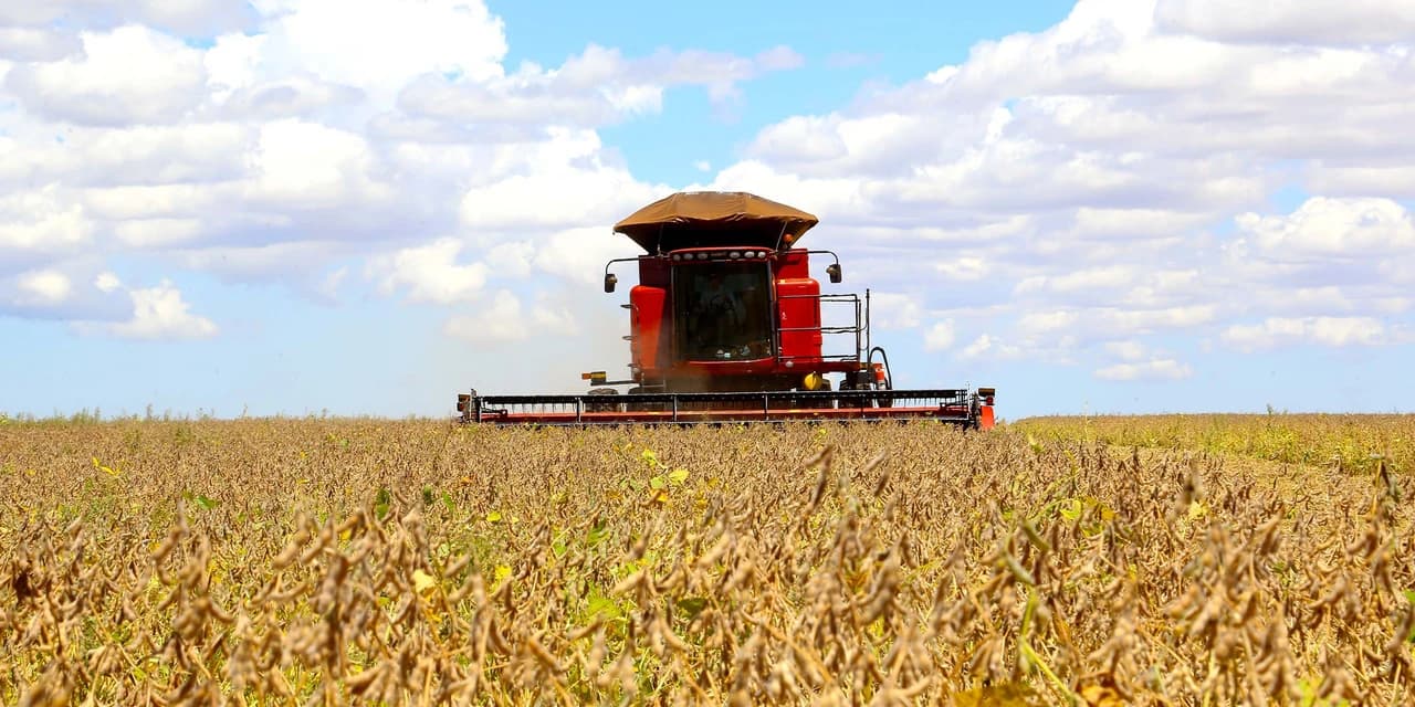 Paraná pode colher 20,8 milhões de toneladas de soja, maior volume da história