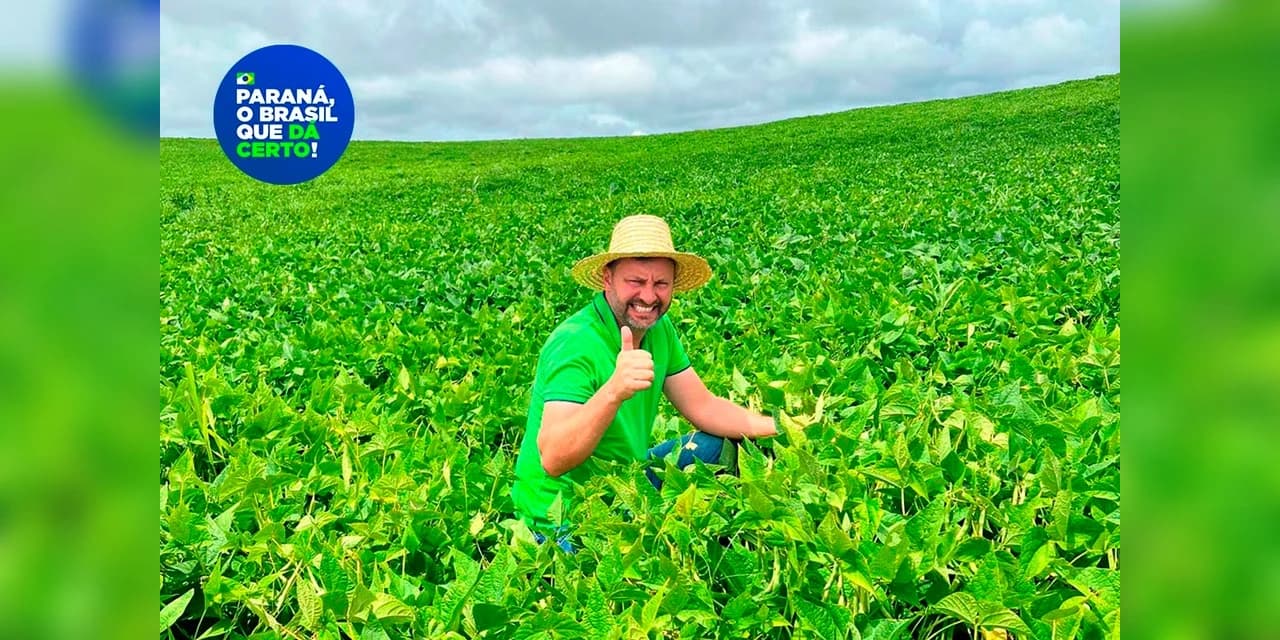 Paraná se destaca no melhoramento genético do feijão e garante maior produtividade