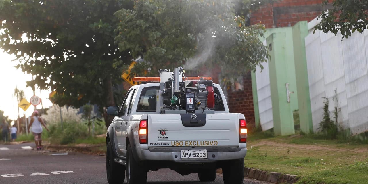 Novo inseticida contra mosquito da dengue deve chegar ao Paraná ainda neste mês