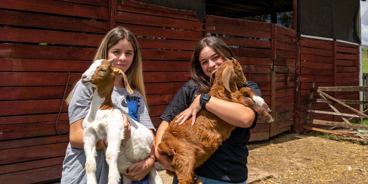 Governo propõe formalizar cooperativas-escolas para potencializar colégios agrícolas