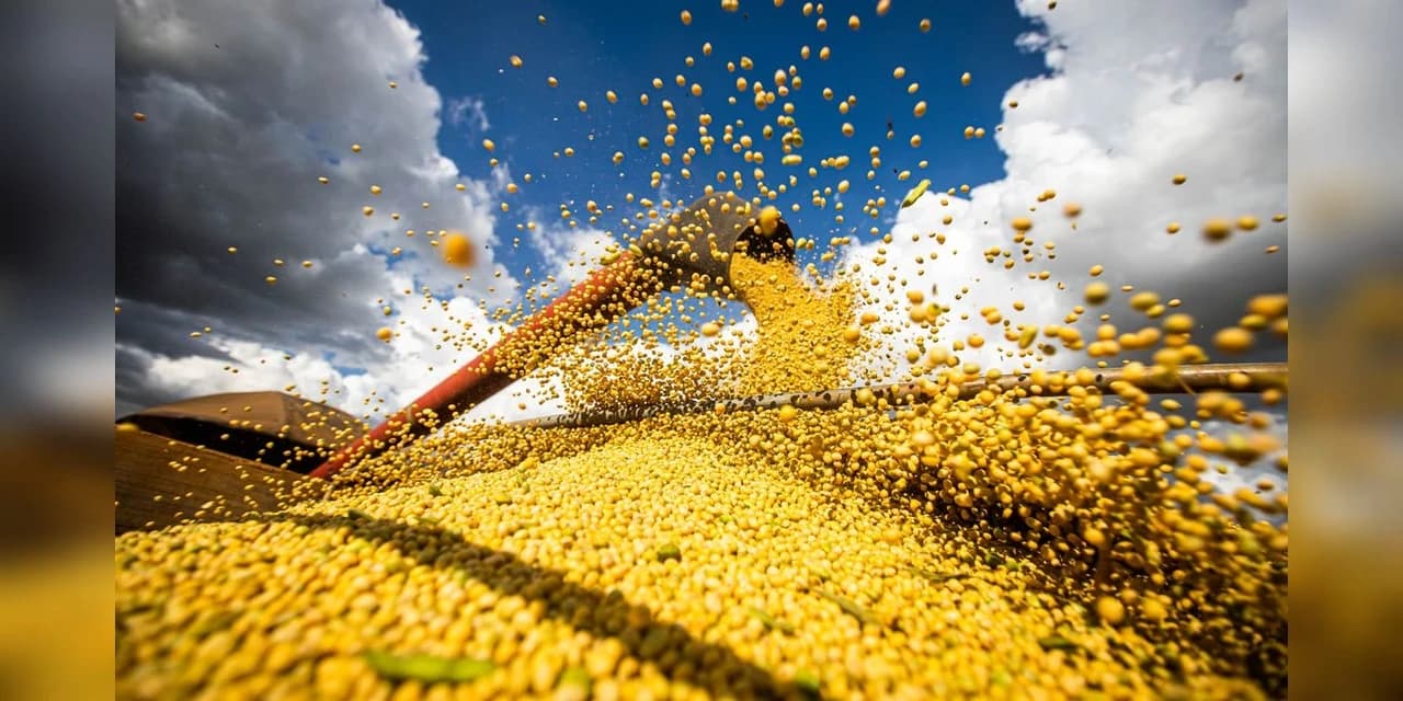 Conab estima recorde na produção de grãos