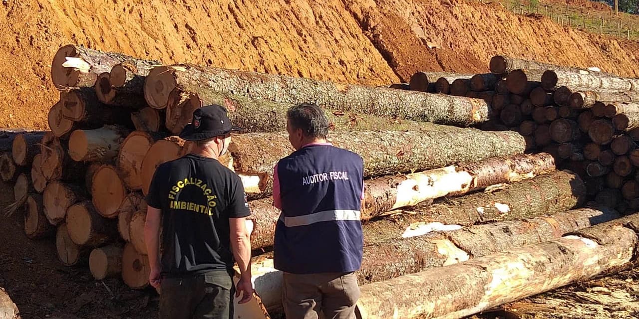 Receita Estadual emitiu 1.705 autos de infração para recuperar R$ 666,2 milhões neste ano