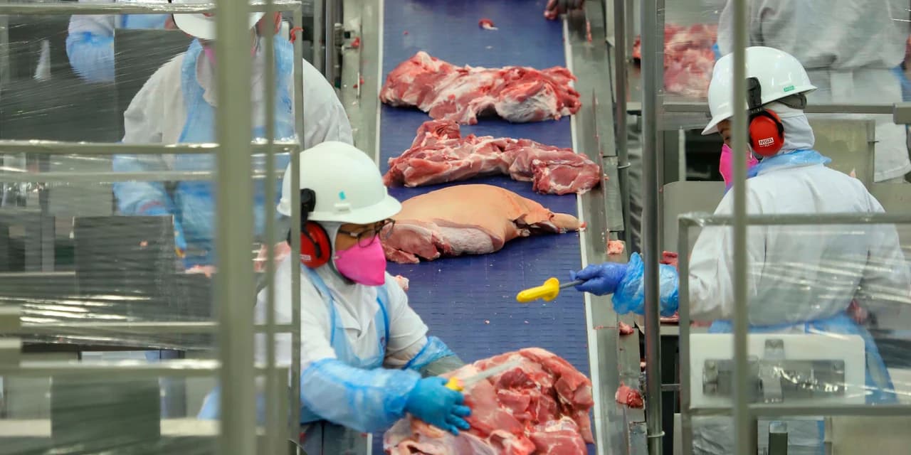 Exportações impactam preços das proteínas animais no mercado interno, mostra boletim do Deral