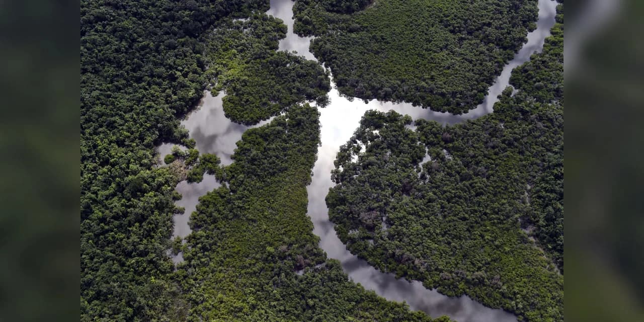 O Paraná foi o estado que mais reduziu o desmatamento ilegal da Mata Atlântica