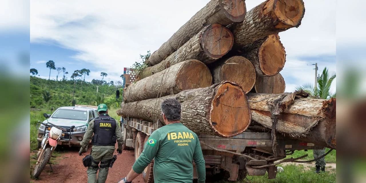 Governo autoriza contratação de 257 servidores para o Ibama