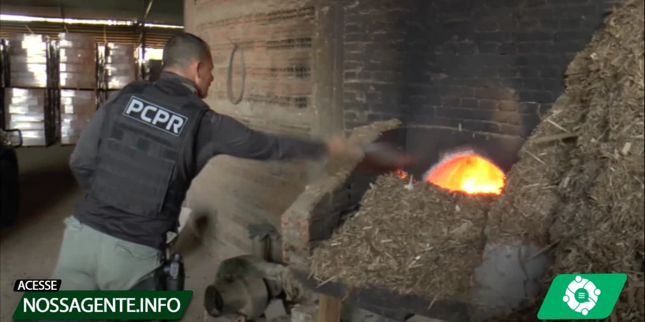 Polícia Civil incinera quase  65 kg de cocaína em Prudentópolis. VÍDEO!
