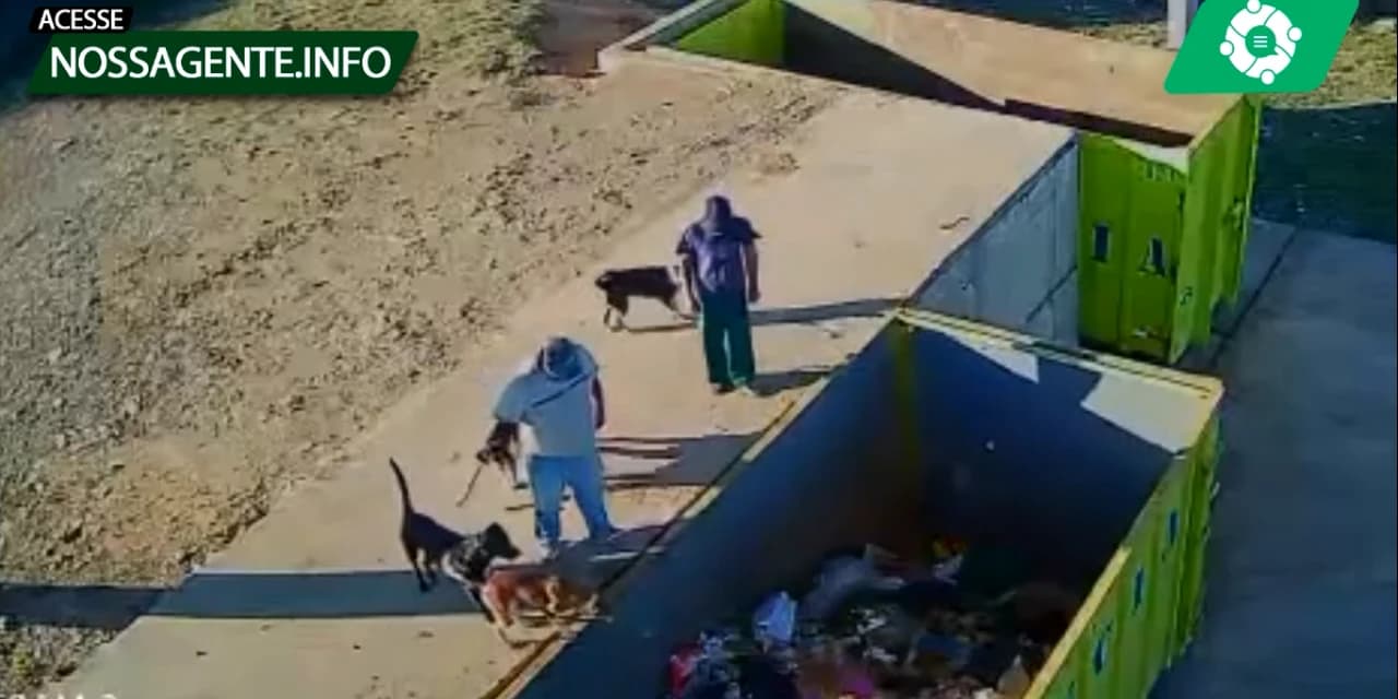 Polícia civil  indicia dois homens pelo crime de maus tratos aos animais em Guamiranga. VÍDEO!