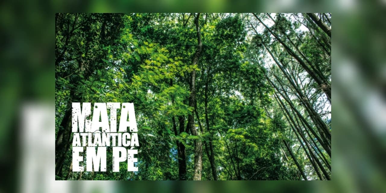 Polícia Ambiental realiza em Guarapuava Lançamento da Operação Mata Atlântica em pé VII