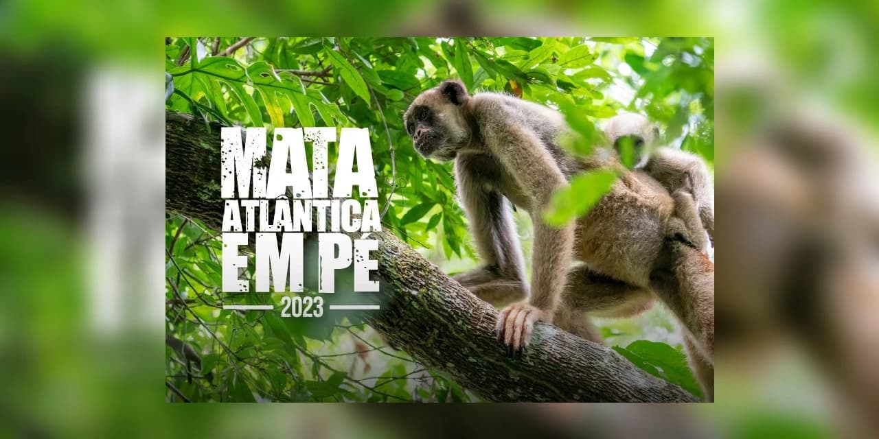 Governo reforça 7ª edição da operação Mata Atlântica em Pé no Paraná