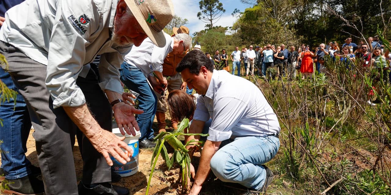 Governador dá início à ação que vai proteger mil nascentes de água até o Dia da Árvore