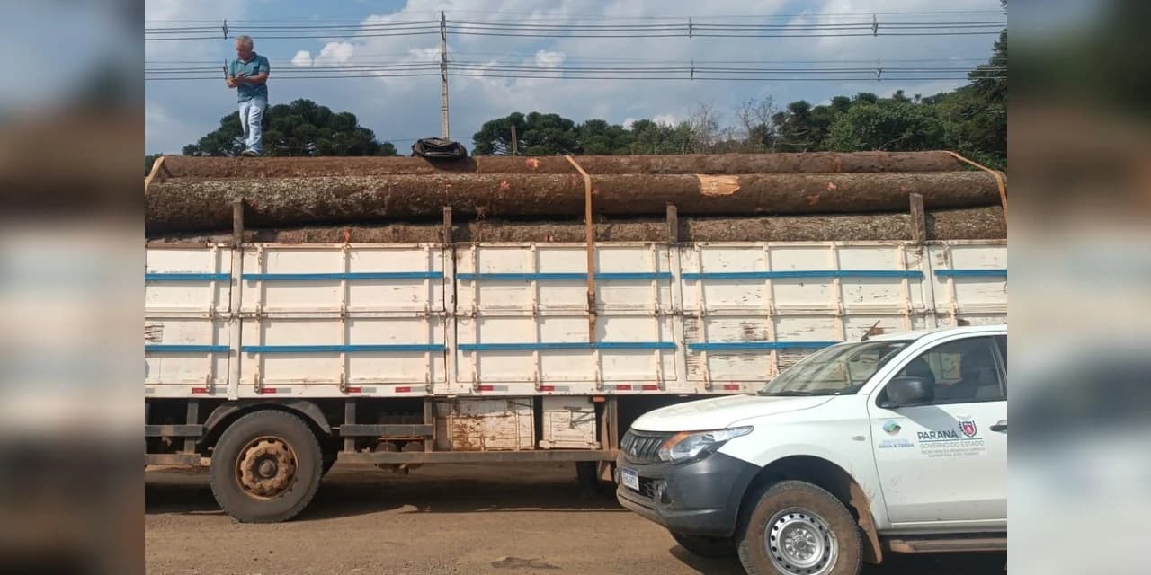 Regional do IAT apreende carga ilegal com 24 toras de araucária no município de Pinhão