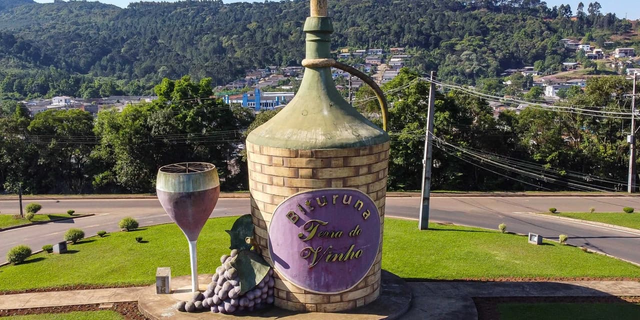 Qualidade e tradição: vinho de Bituruna é orgulho para a cidade e referência no País; Veja ao vídeo.