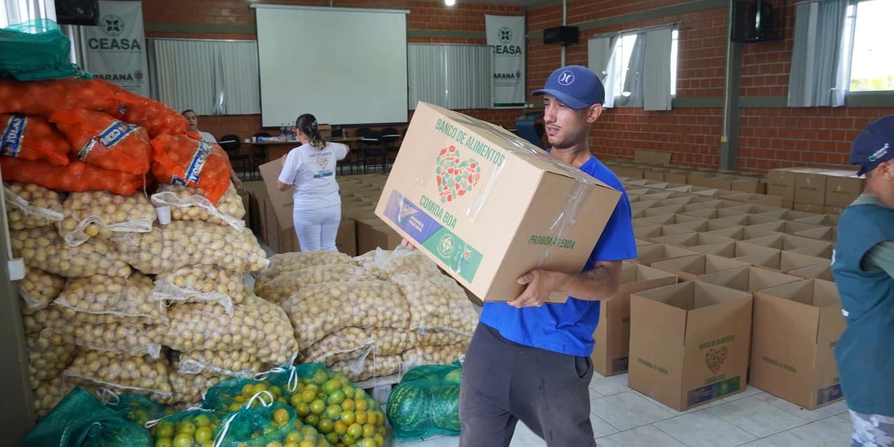 Ceasa Curitiba doa mais 5 toneladas de alimentos para municípios catarinenses