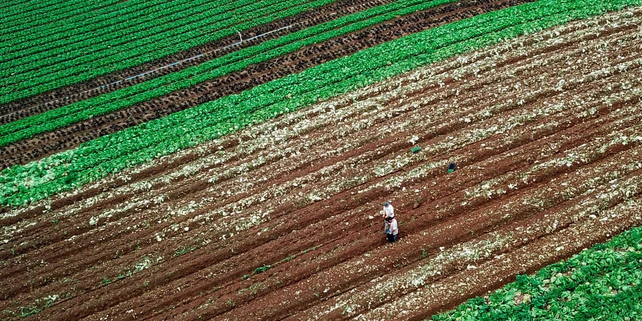 Prêmio Orgulho da Terra 2023 será entregue a 21 personalidades nesta quinta