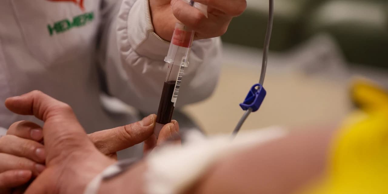 Com queda nas doações, Hemepar solicita com urgência sangue do tipo O