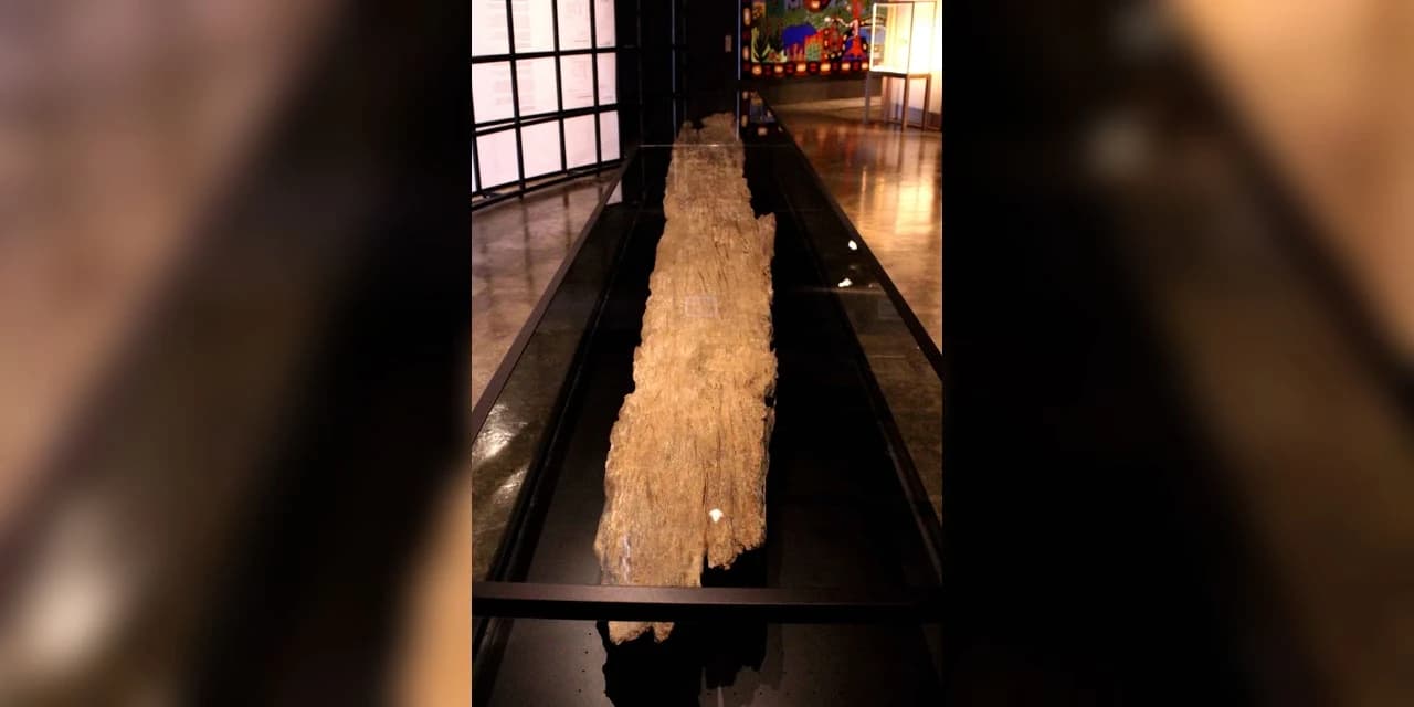 Mostra da Casa Gomm sobre canoa indígena dos anos 1500 encerra nesta sexta-feira