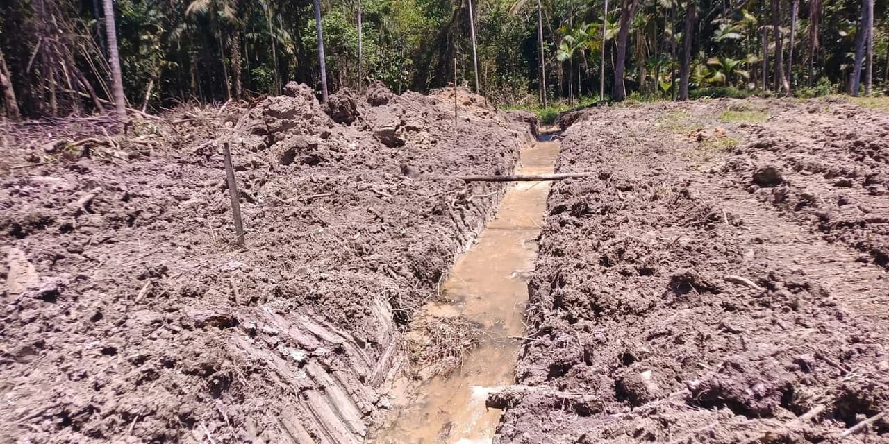 IAT aplica multa de R$ 55 mil por desmatamento ilegal em Guaratuba