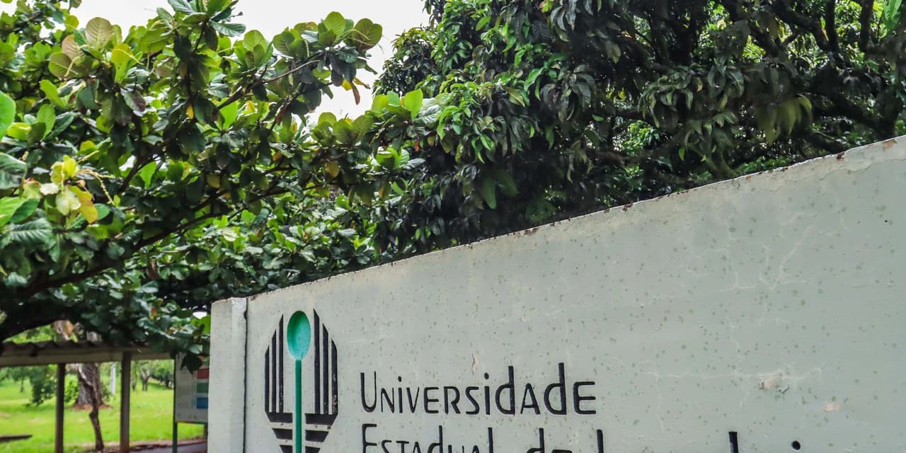 UEL divulga resultado da 1ª convocação do Vestibular 2024 na próxima terça-feira