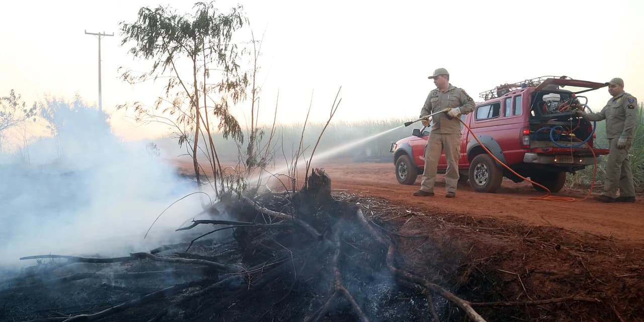 Com mais profissionais e novos desafios, Bombeiros tiveram aumento de 9% nas ocorrências em 2023